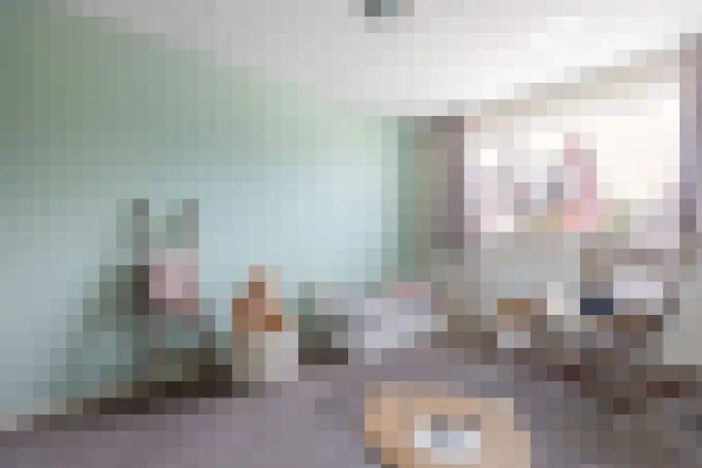 Boerhave 3 Tubbergen thumbnail 14