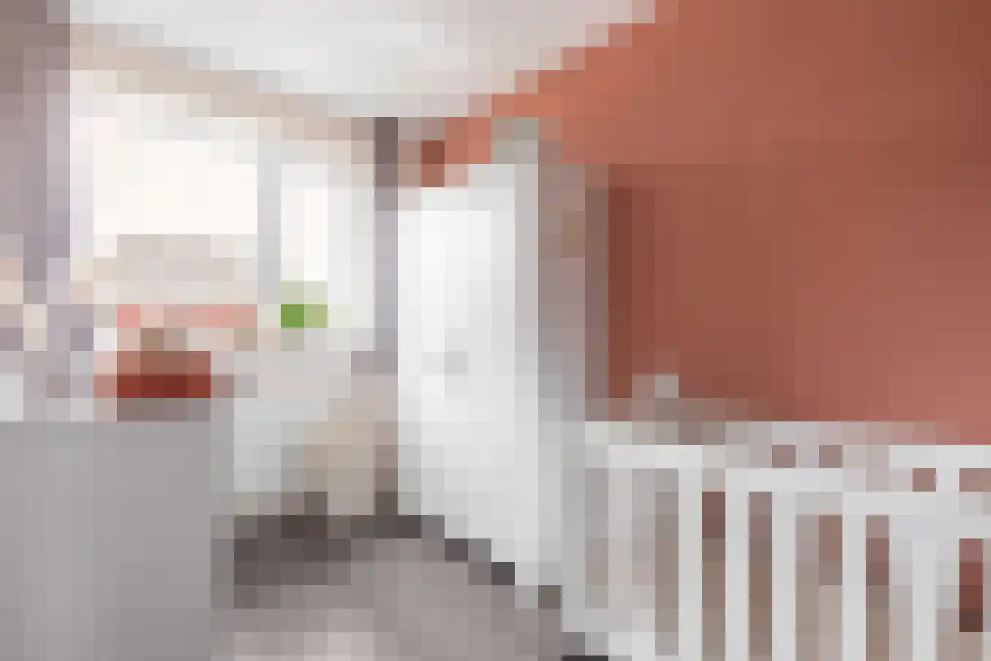 Boerhave 3 Tubbergen thumbnail 15