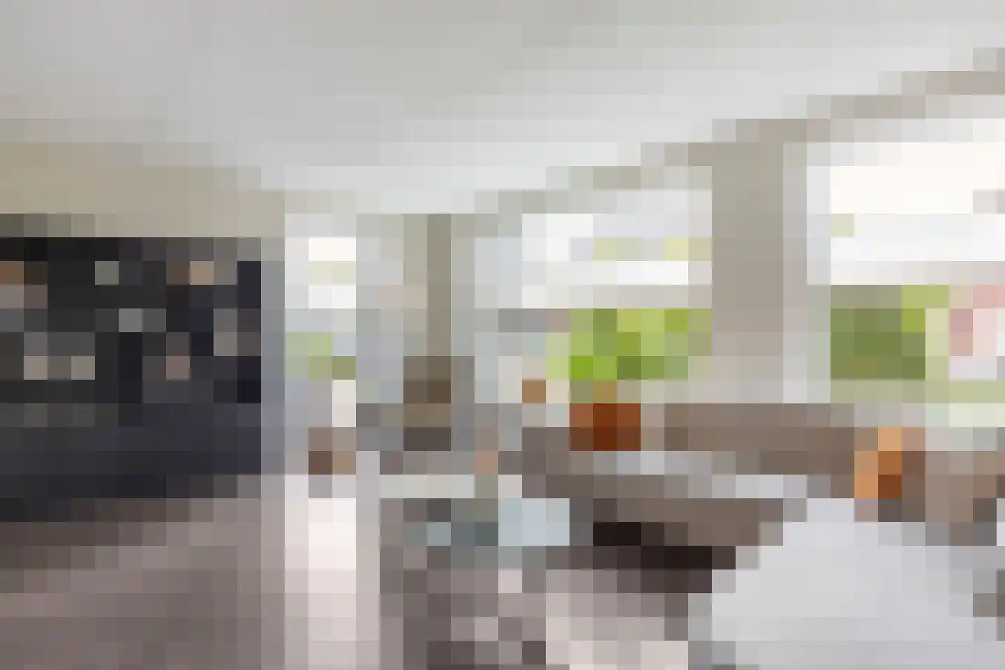 Boerhave 3 Tubbergen thumbnail 7