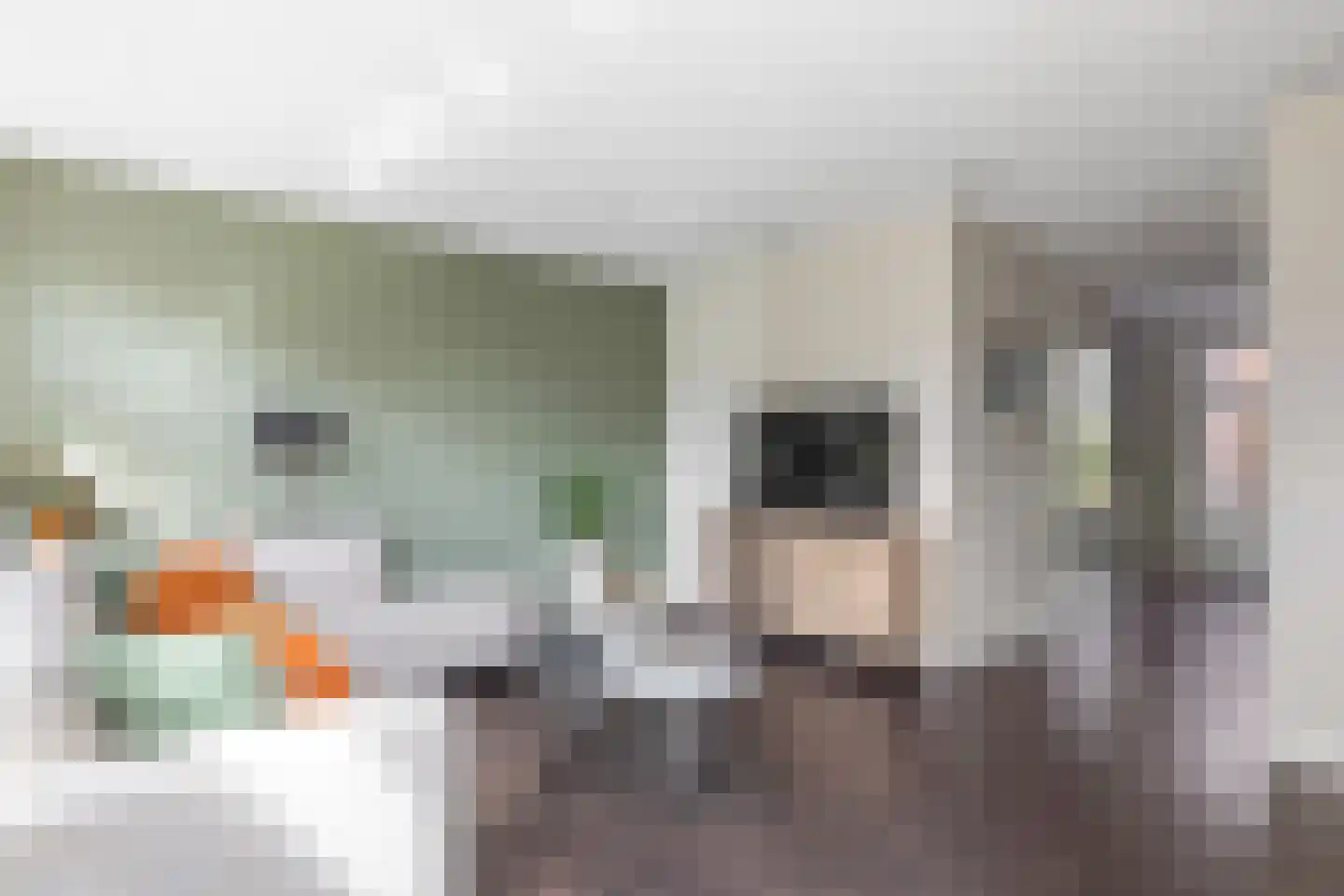 Boerhave 3 Tubbergen thumbnail 8