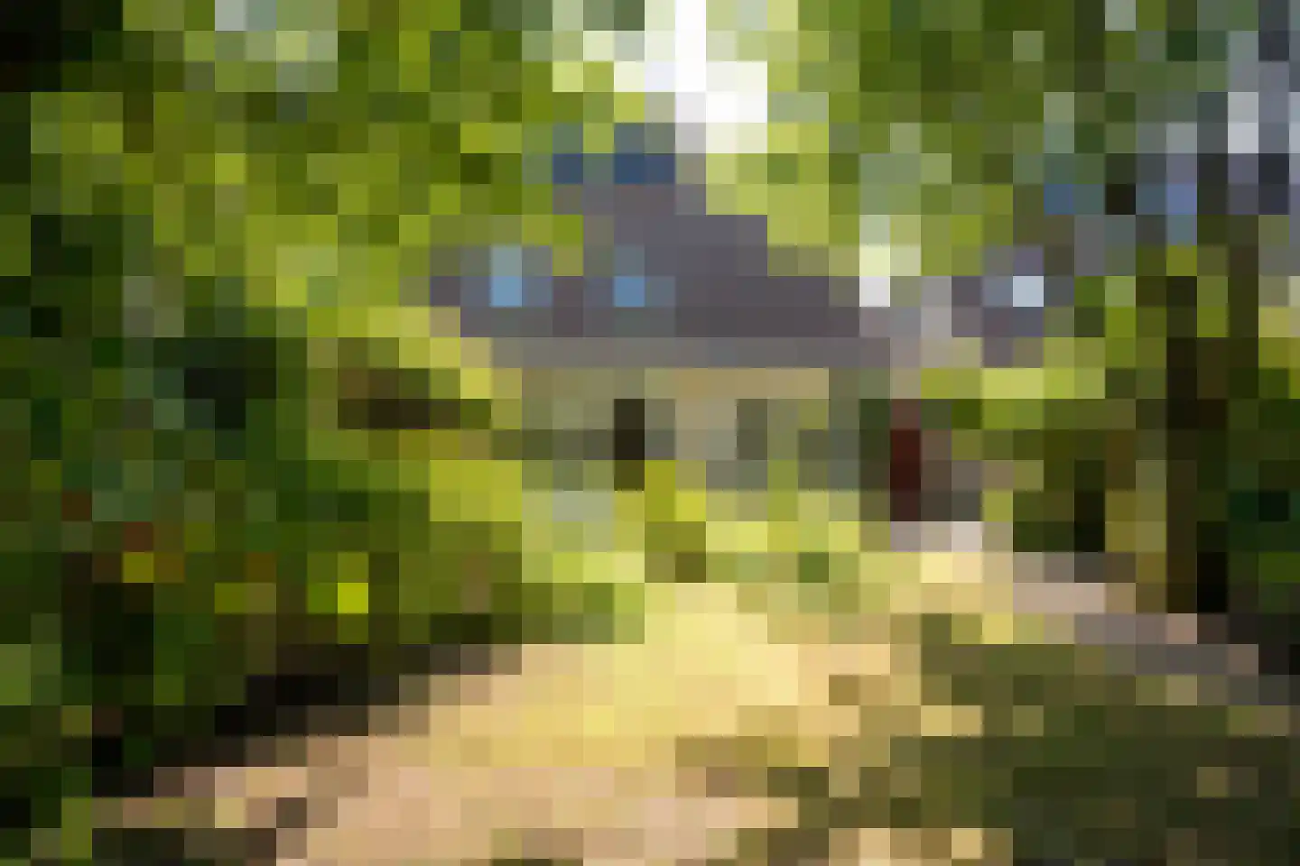 Boerheem 25 Bovensmilde thumbnail 22