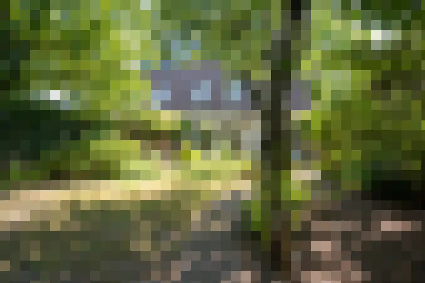 Boerheem 25 Bovensmilde thumbnail 23
