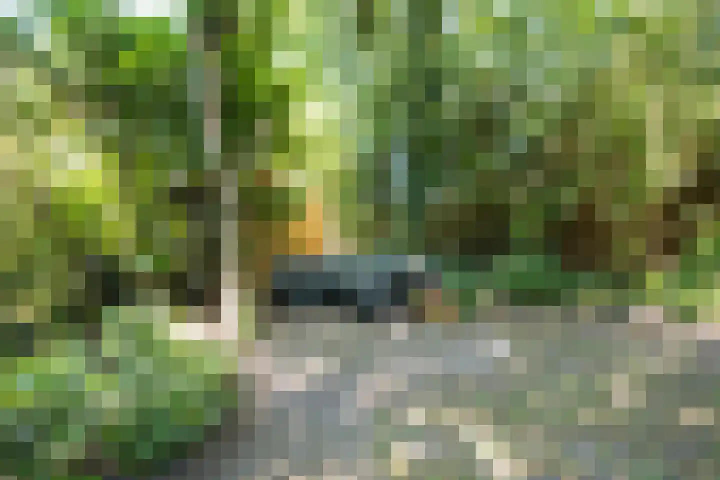 Boerheem 25 Bovensmilde thumbnail 25