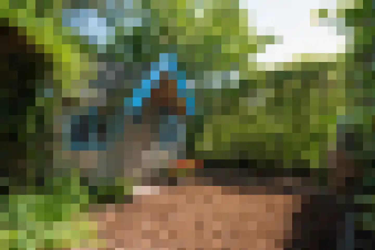 Boerheem 25 Bovensmilde thumbnail 27