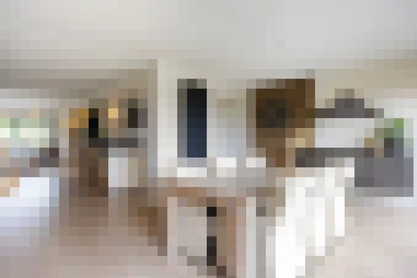 Boerheem 26 Bovensmilde thumbnail 6