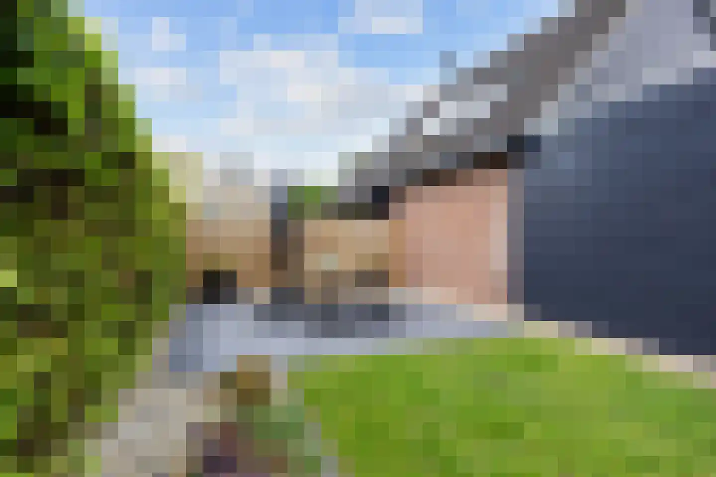 Boerheem 26 Bovensmilde thumbnail 64