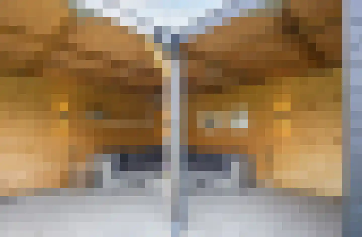 Boerheem 26 Bovensmilde thumbnail 69