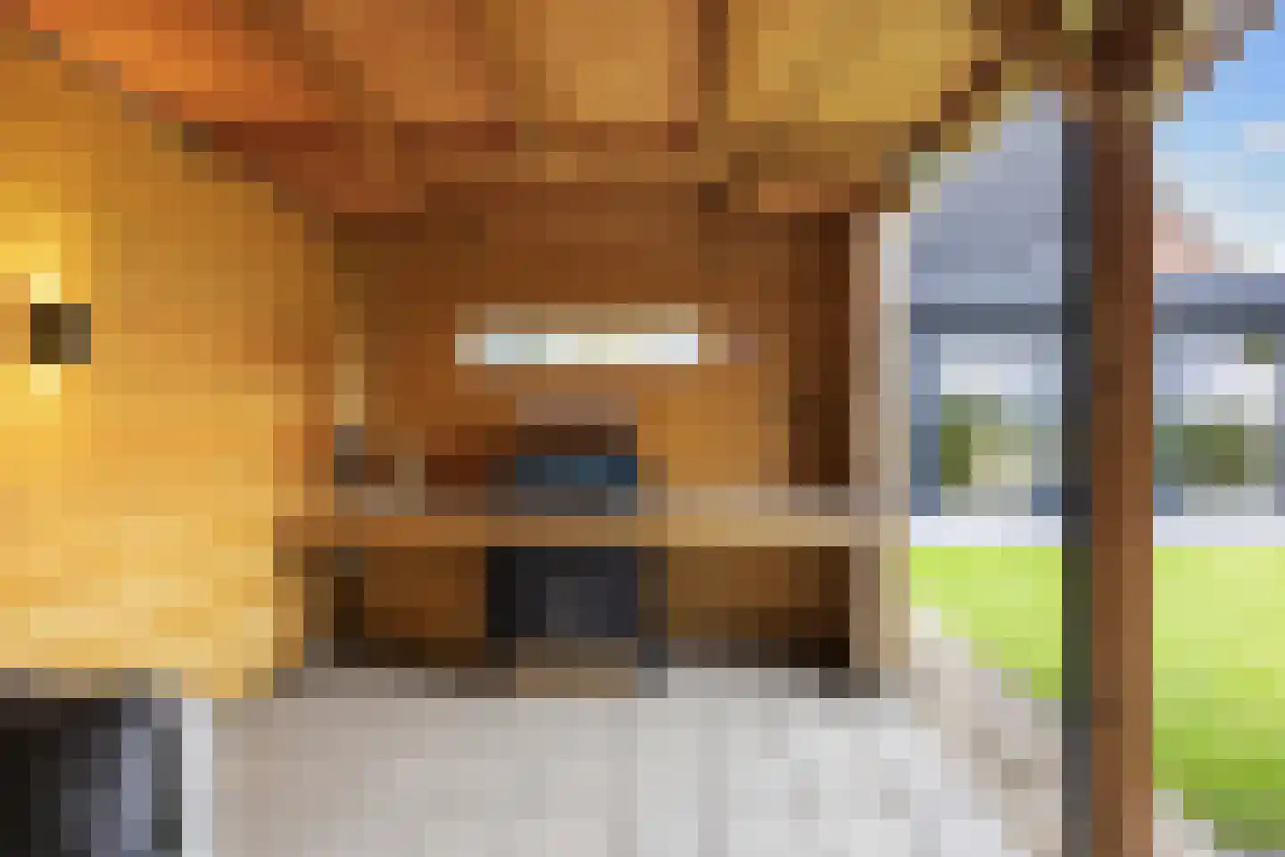 Boerheem 26 Bovensmilde thumbnail 71