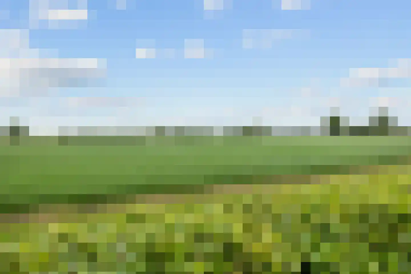 Boerheem 26 Bovensmilde thumbnail 73