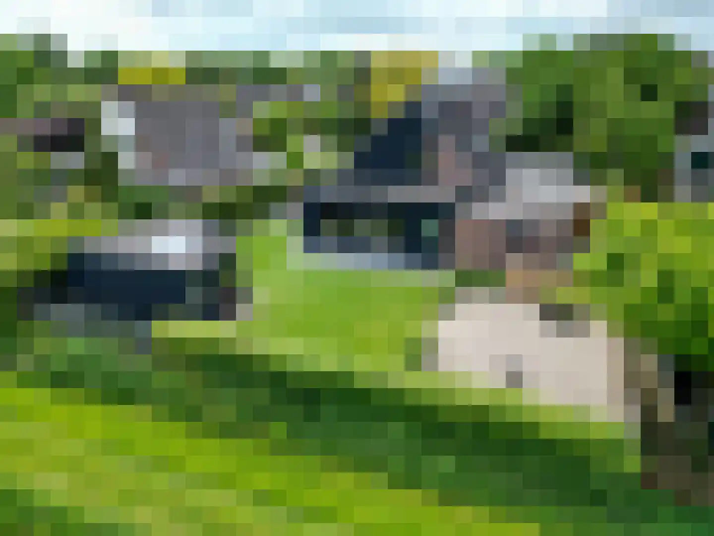 Boerheem 26 Bovensmilde thumbnail 79