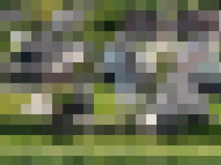 Boerheem 28 Bovensmilde thumbnail 32