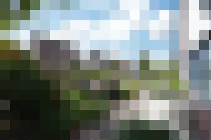 Boerheem 28 Bovensmilde thumbnail 35