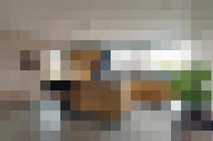 Boerhof 34 Westerbork thumbnail 11