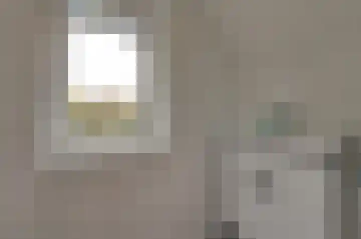 Boerhof 34 Westerbork thumbnail 33
