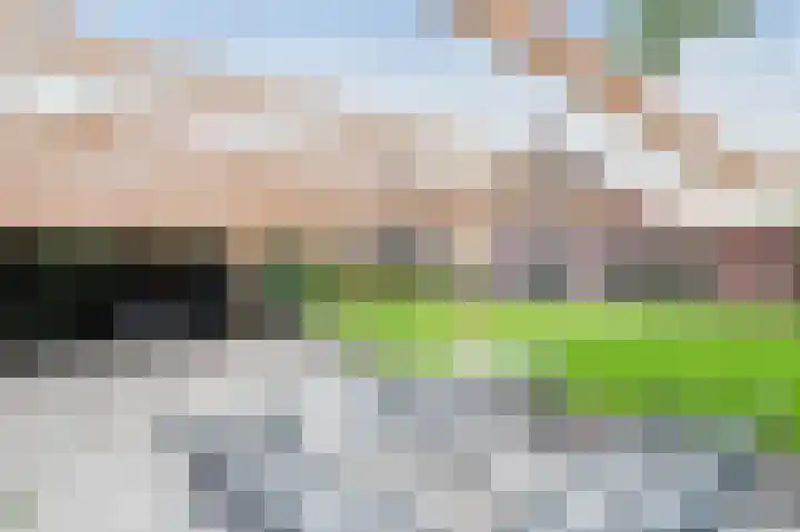 Boerhof 34 Westerbork thumbnail 39