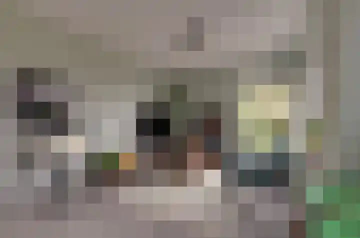 Boerhof 34 Westerbork thumbnail 9