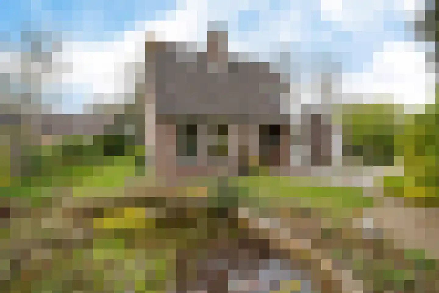 Boerhoorn 1 en Oosterhesselen