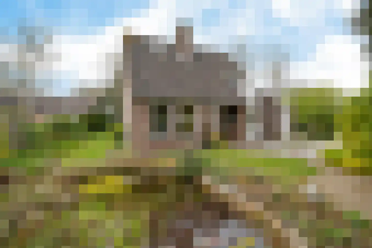 Boerhoorn 1 dans Oosterhesselen