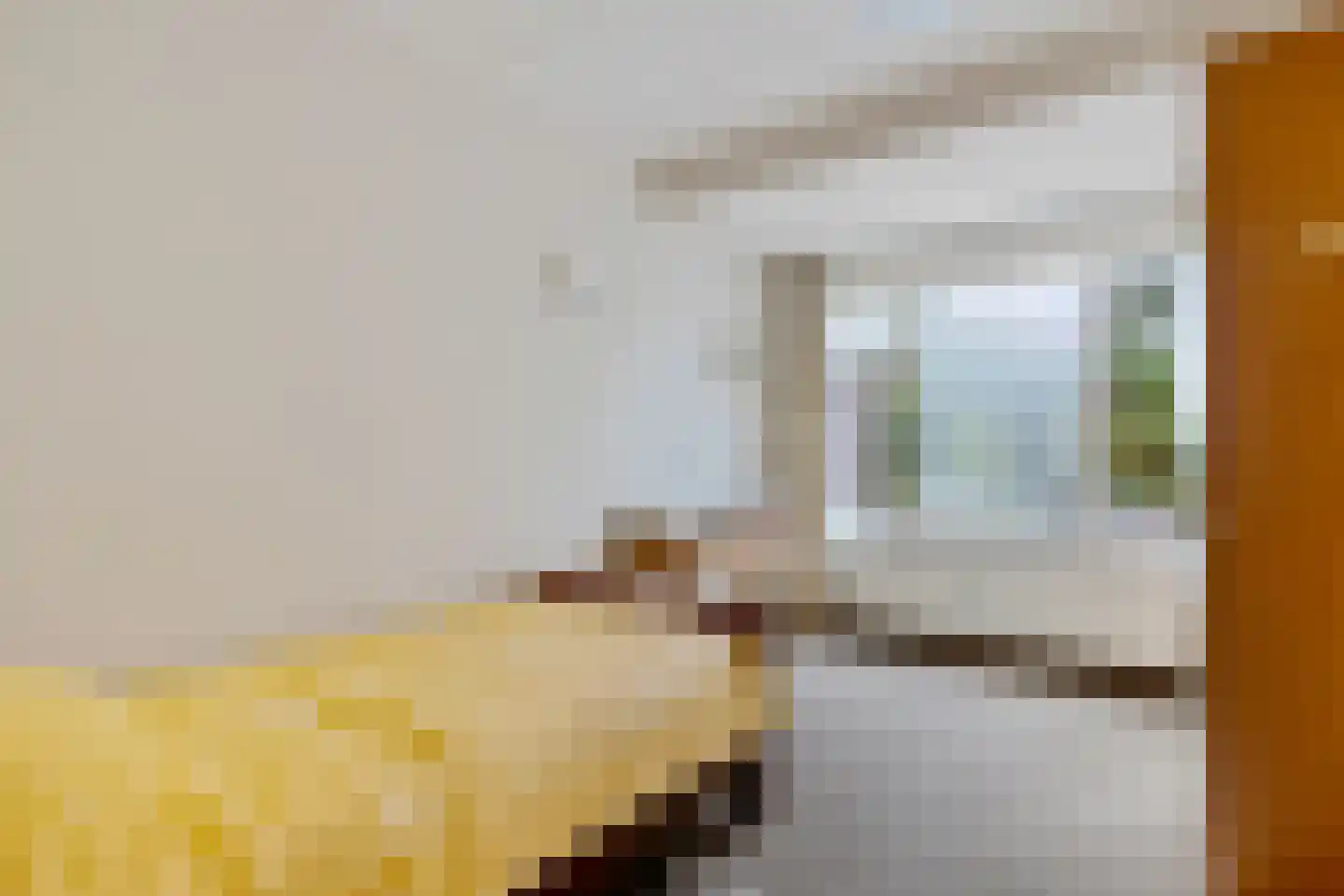 Boerhoorn 1 Oosterhesselen thumbnail 12