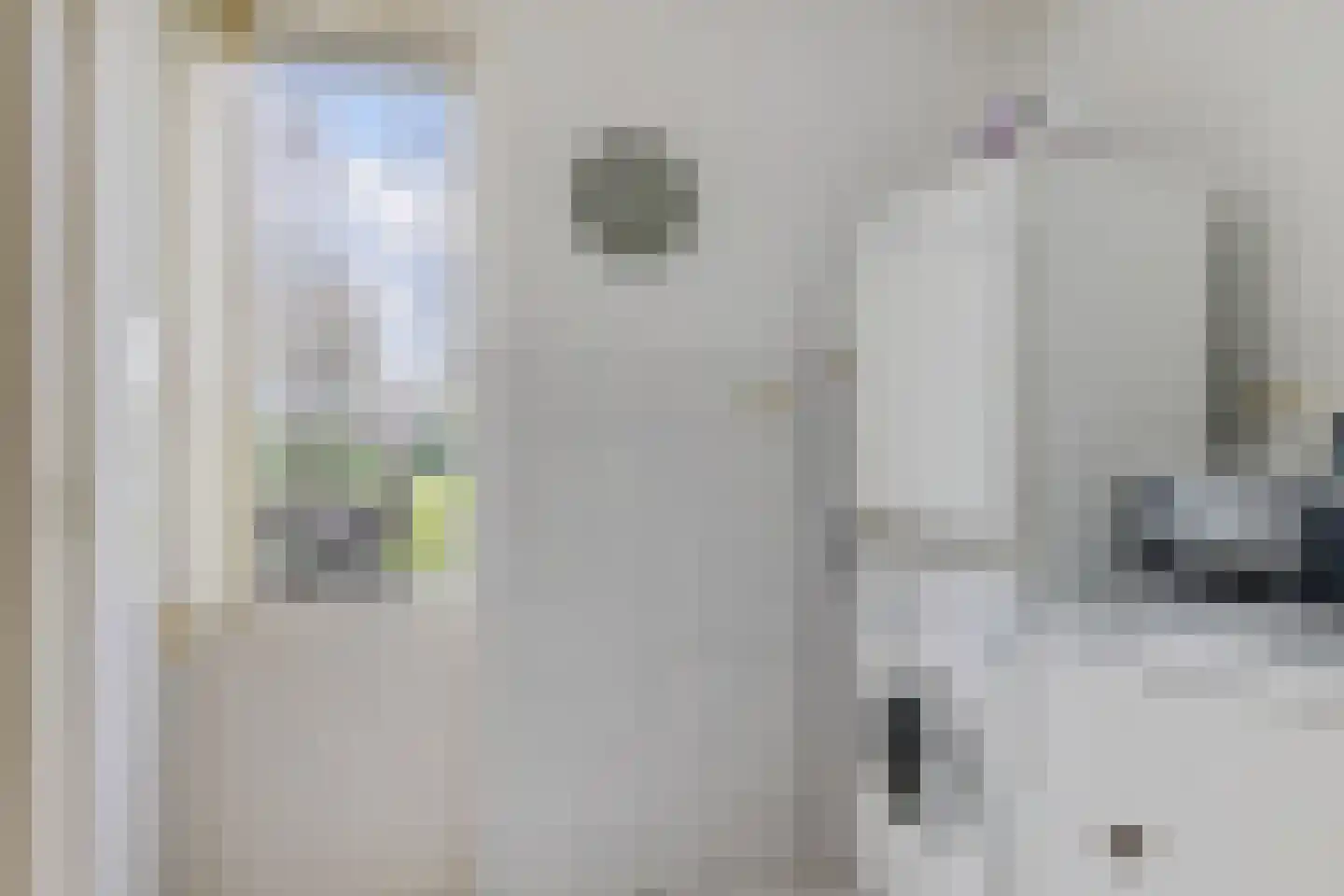 Boerhoorn 1 Oosterhesselen thumbnail 16