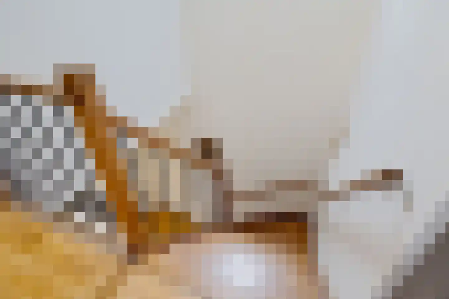 Boerhoorn 1 Oosterhesselen thumbnail 18