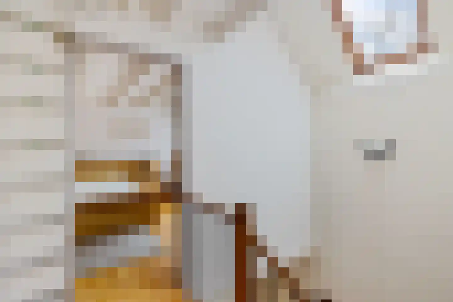 Boerhoorn 1 Oosterhesselen thumbnail 21