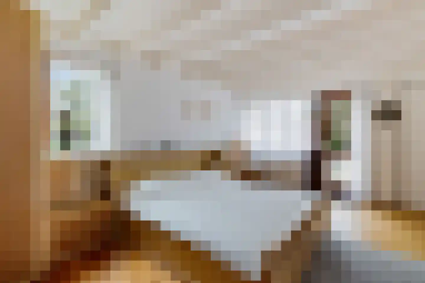 Boerhoorn 1 Oosterhesselen thumbnail 22
