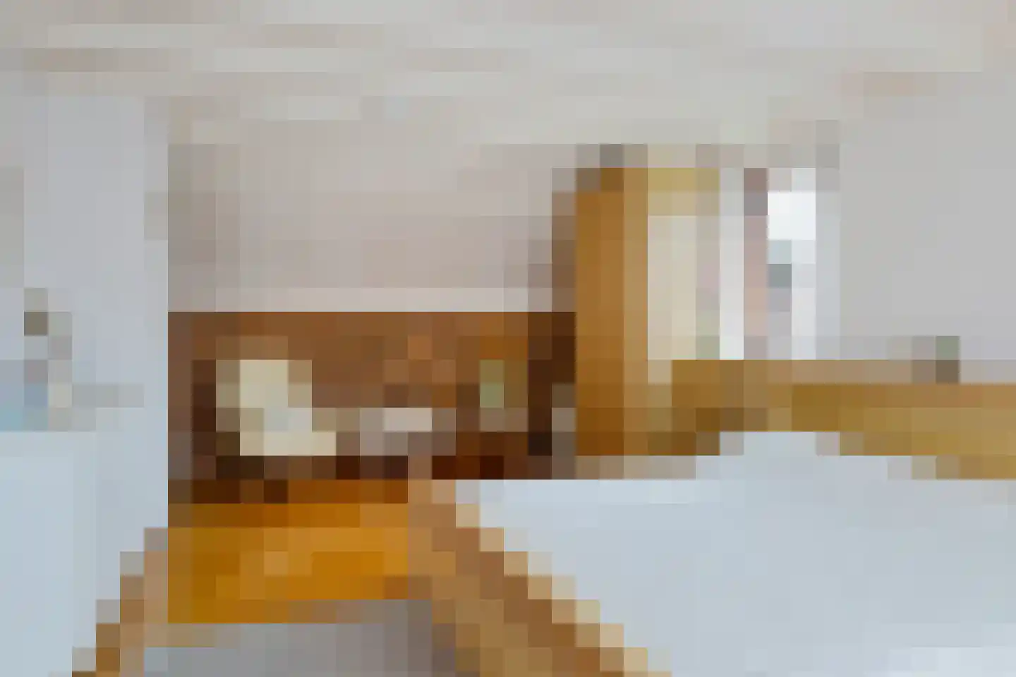 Boerhoorn 1 Oosterhesselen thumbnail 24