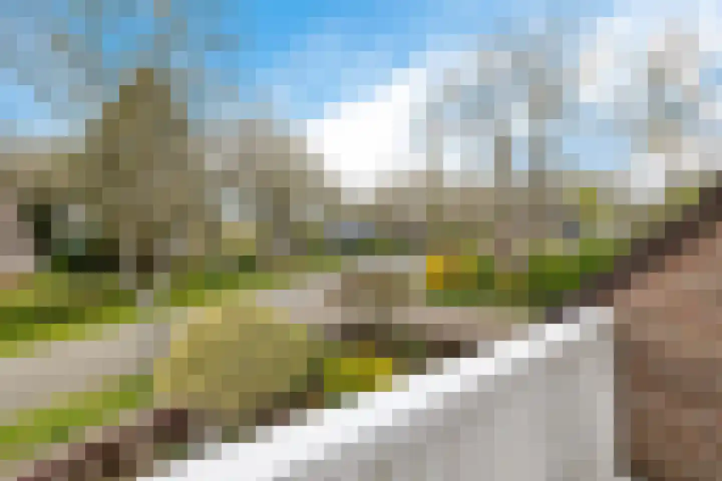 Boerhoorn 1 Oosterhesselen thumbnail 25