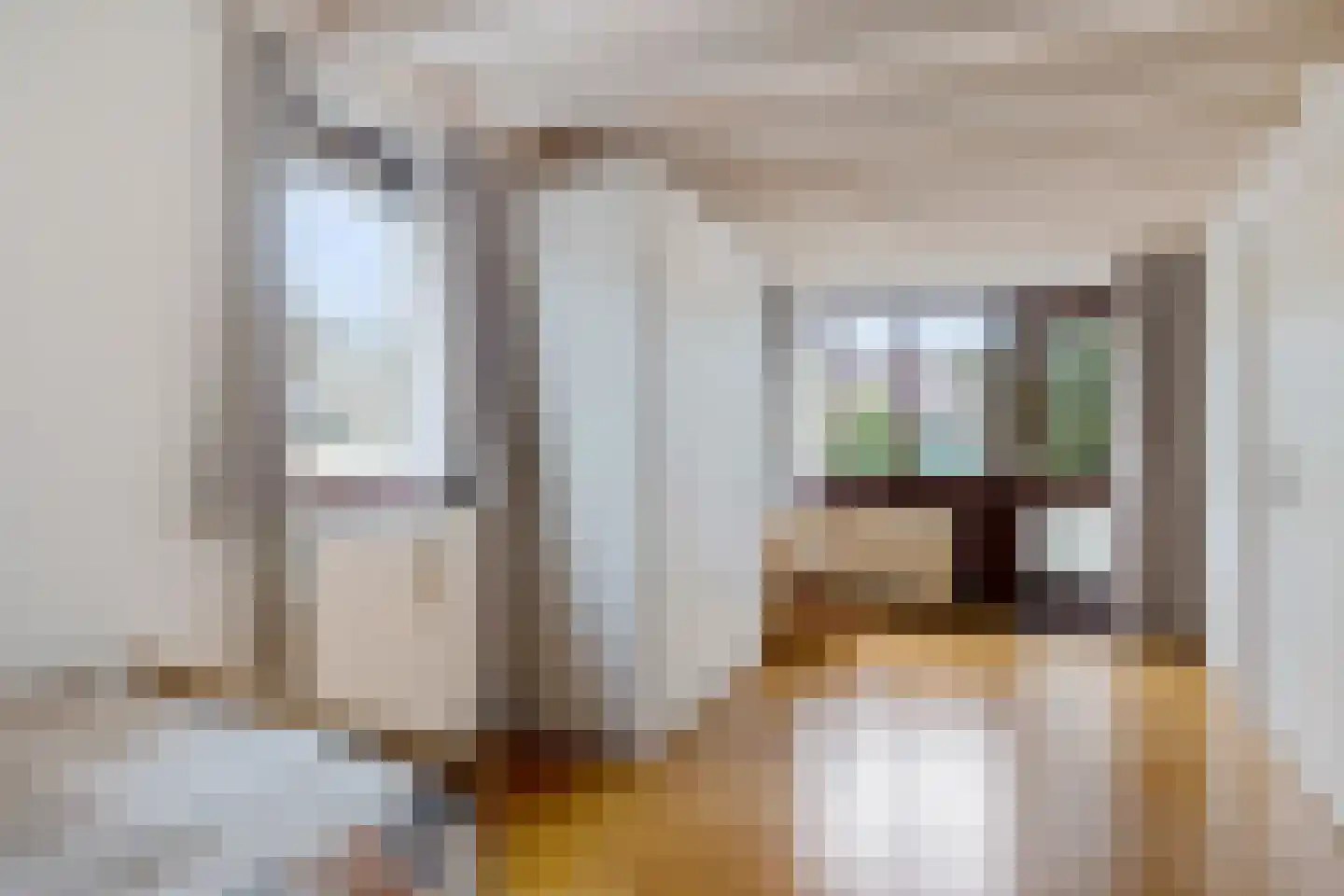 Boerhoorn 1 Oosterhesselen thumbnail 26