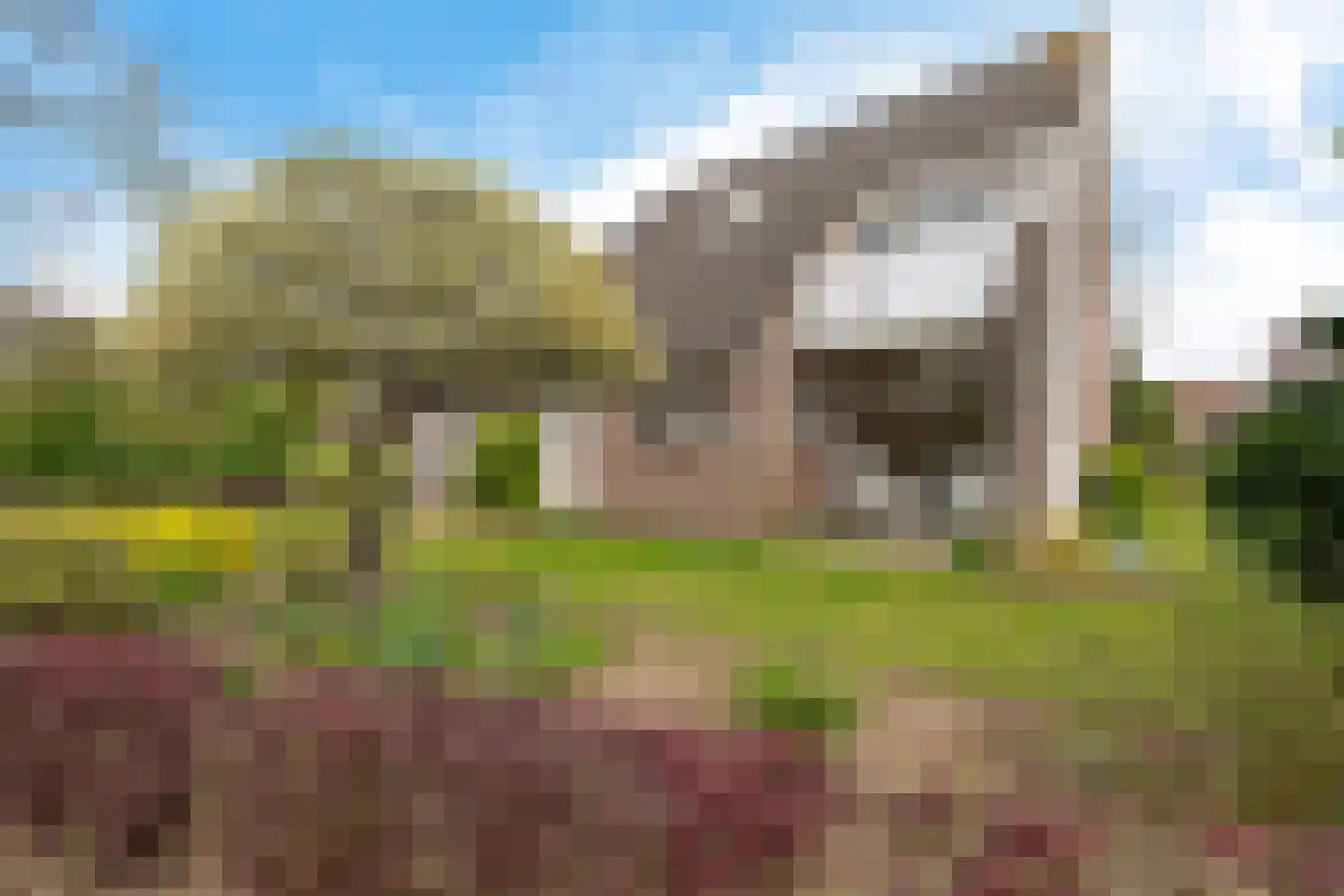 Boerhoorn 1 Oosterhesselen thumbnail 33