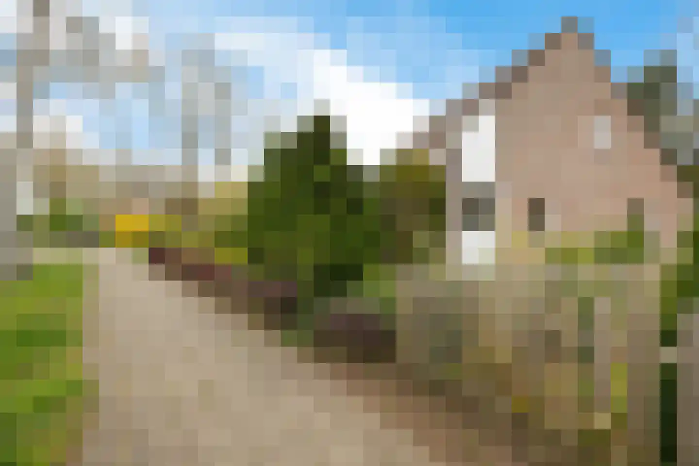 Boerhoorn 1 Oosterhesselen thumbnail 35