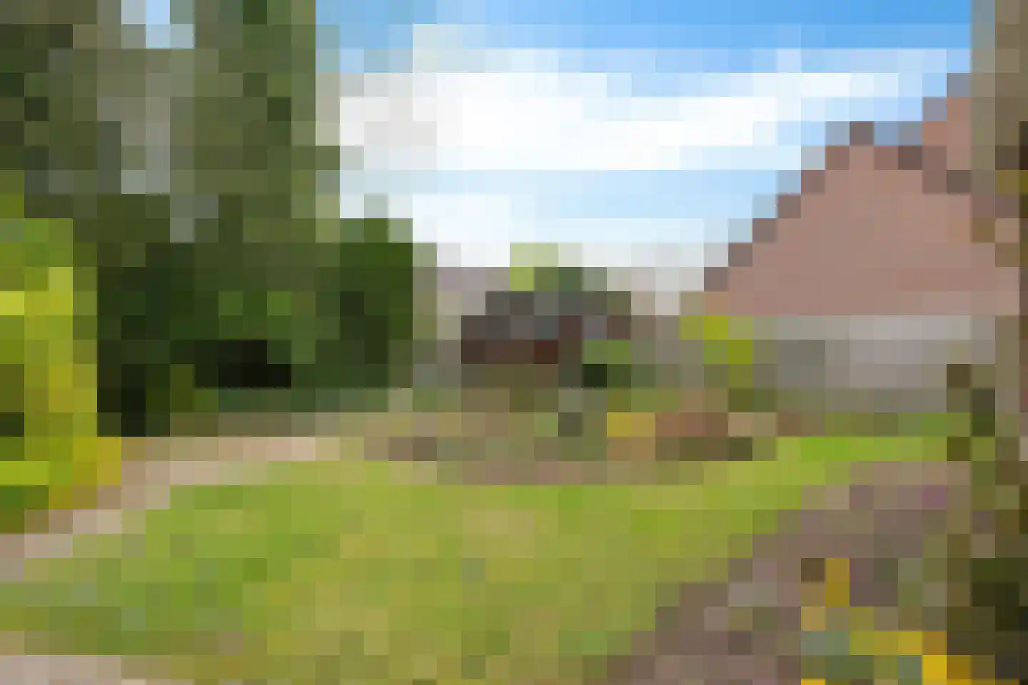 Boerhoorn 1 Oosterhesselen thumbnail 36