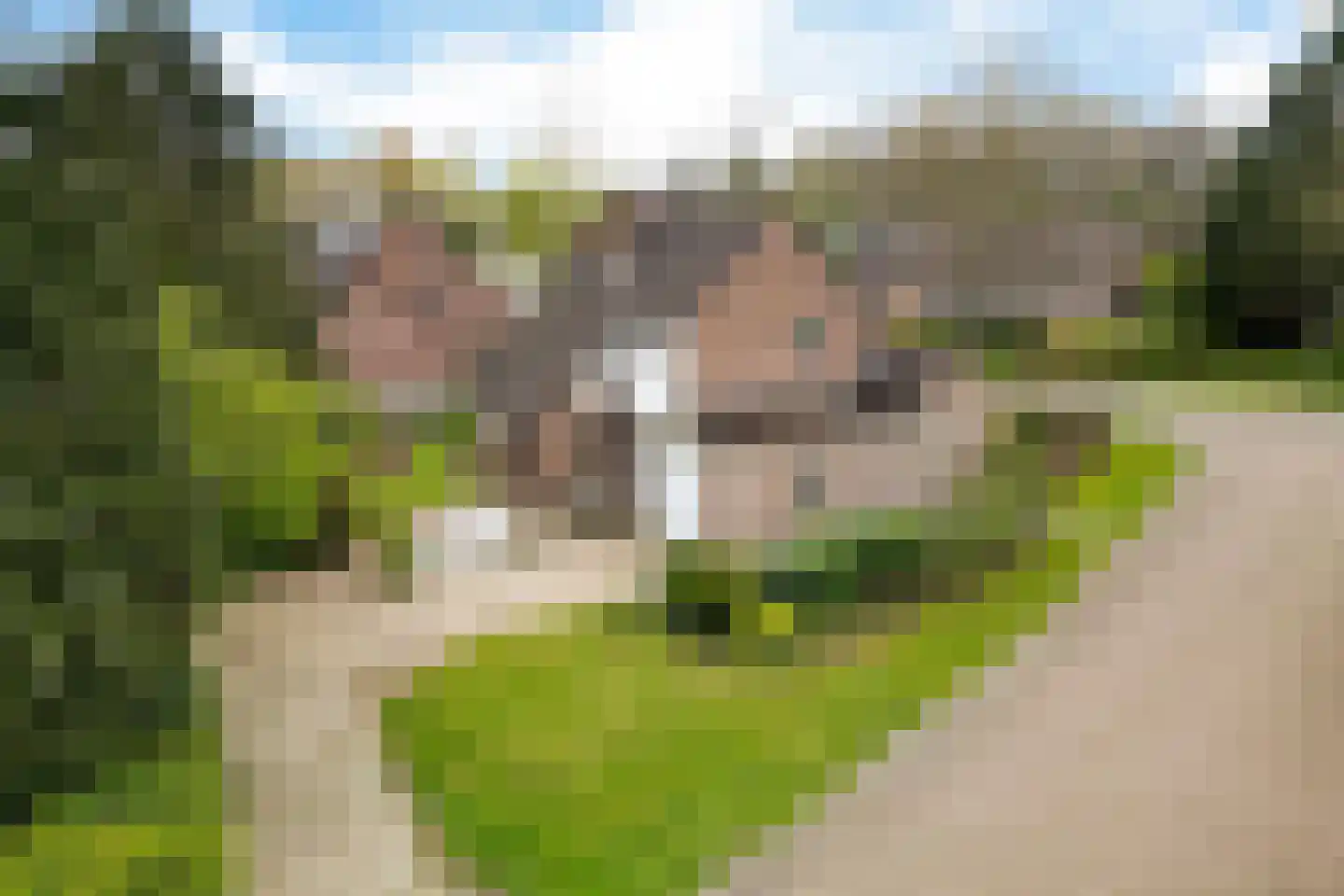 Boerhoorn 1 Oosterhesselen thumbnail 38