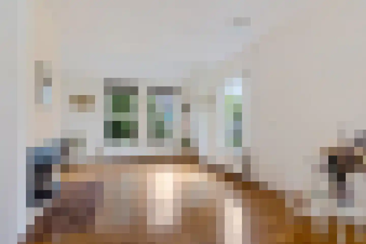 Boerhoorn 1 Oosterhesselen thumbnail 8