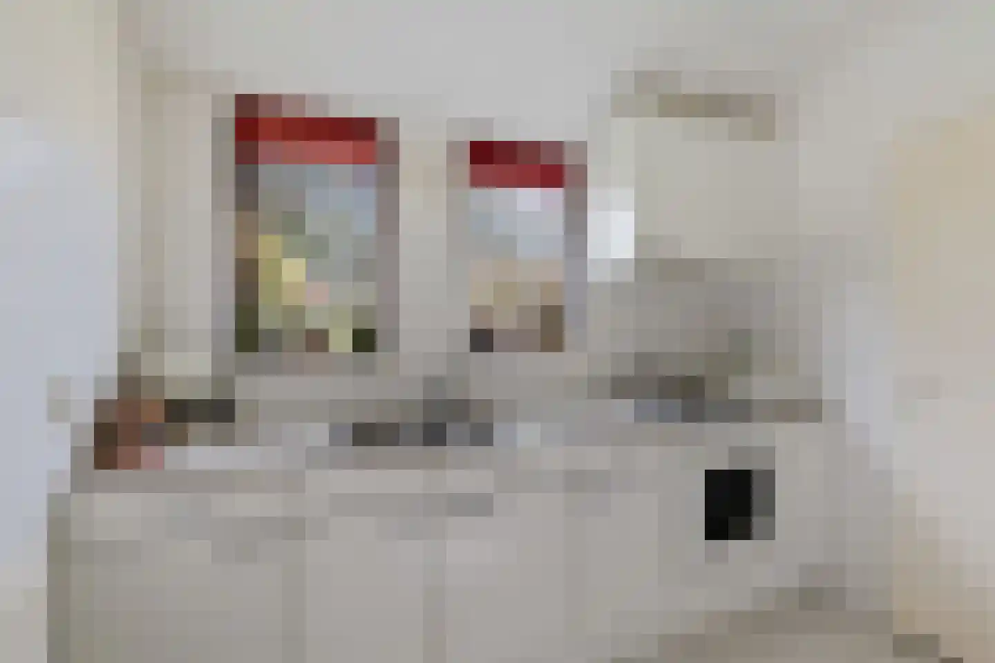 Boerhoorn 1 Oosterhesselen thumbnail 9