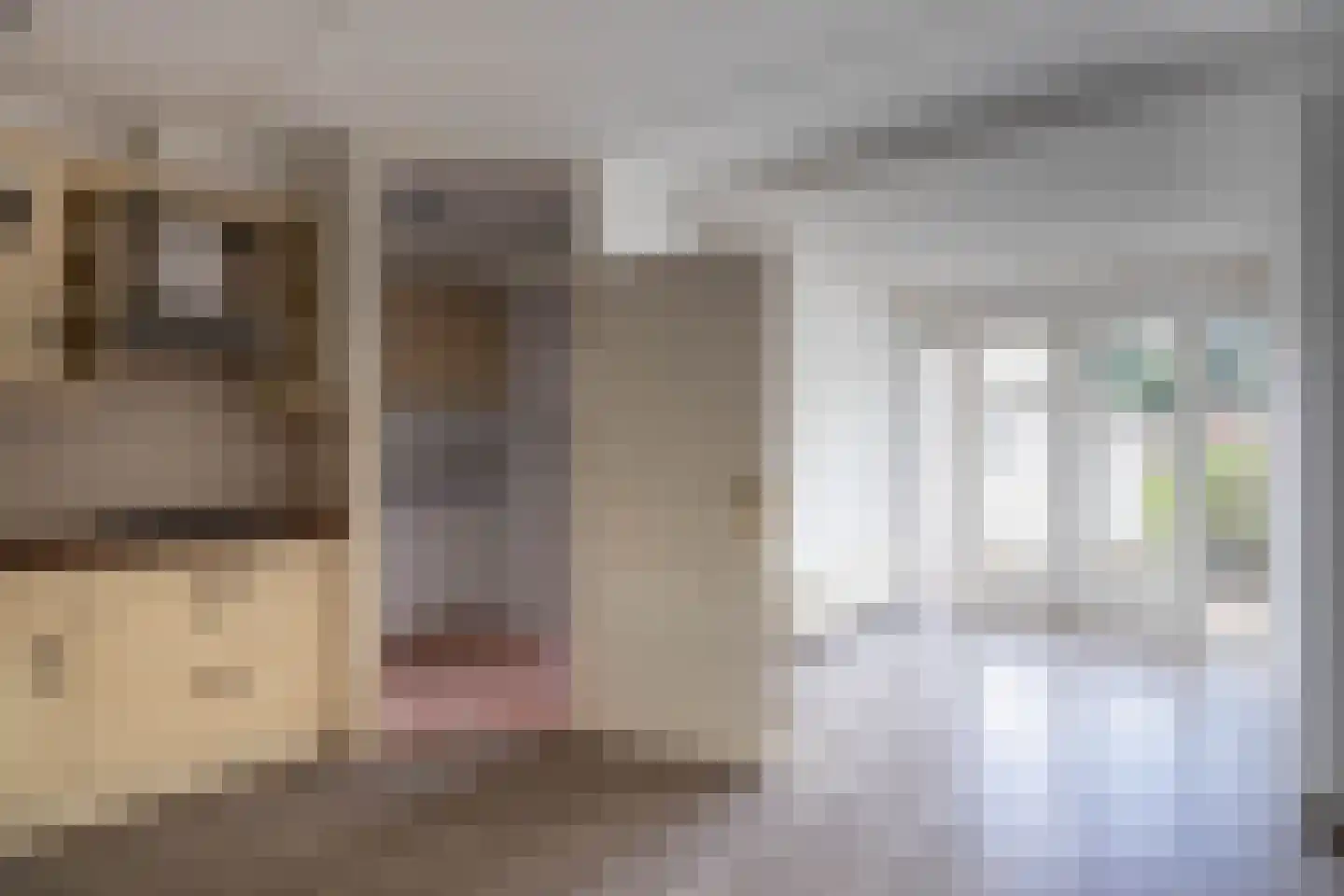 Boerhoorn 17 Glimmen thumbnail 17