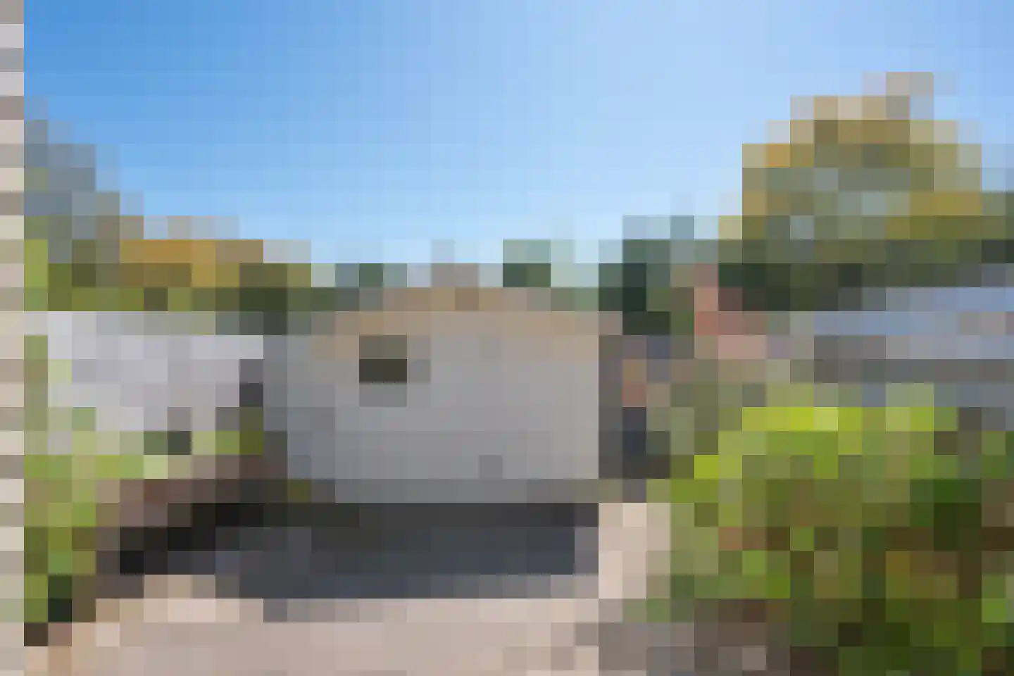 Boerhoorn 17 Glimmen thumbnail 33