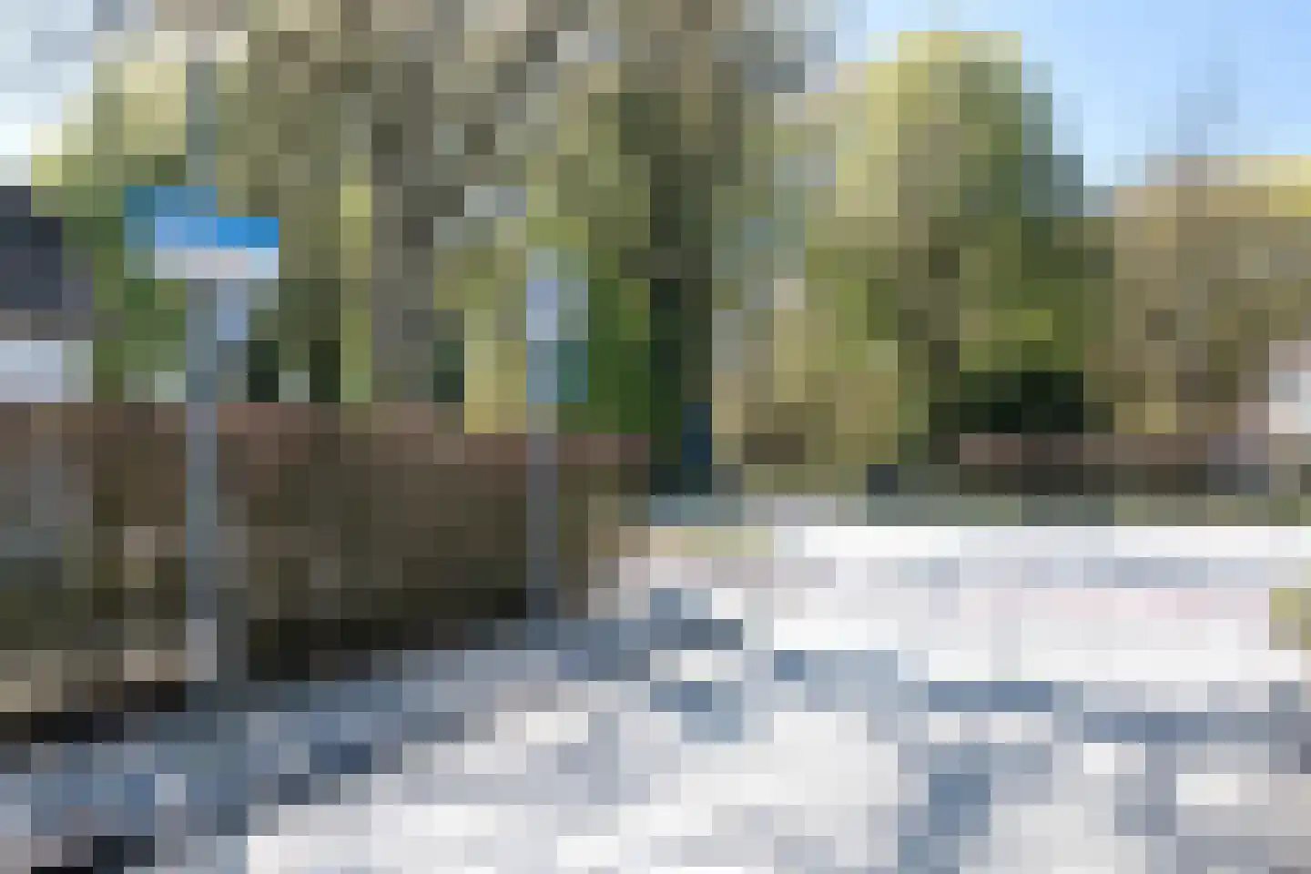 Boerhoorn 17 Glimmen thumbnail 38
