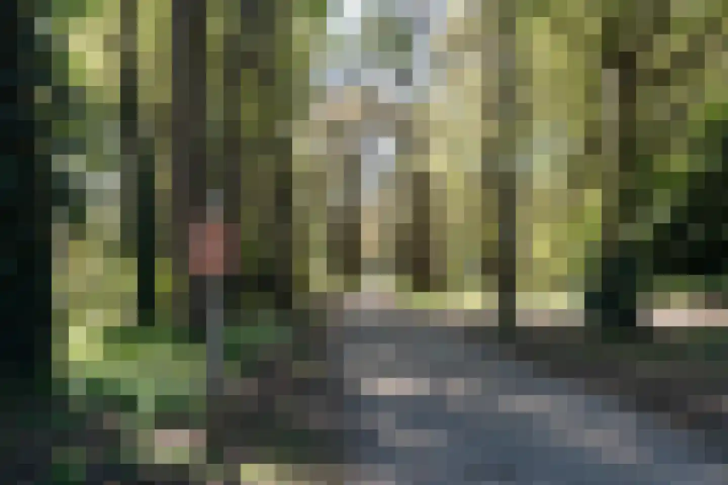 Boerhoorn 17 Glimmen thumbnail 39