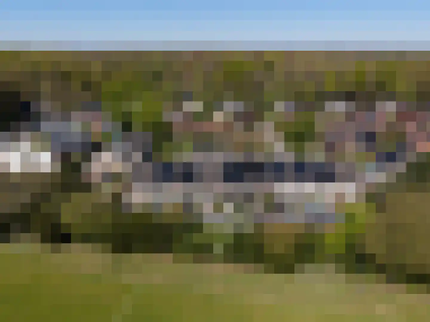 Boerhoorn 17 Glimmen thumbnail 40
