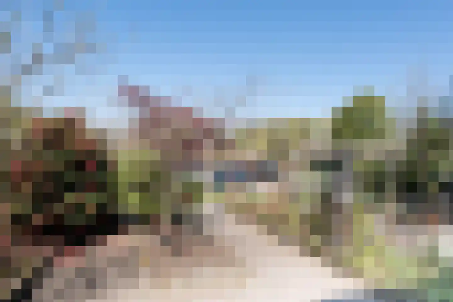 Boerhoorn 17 Glimmen thumbnail 8