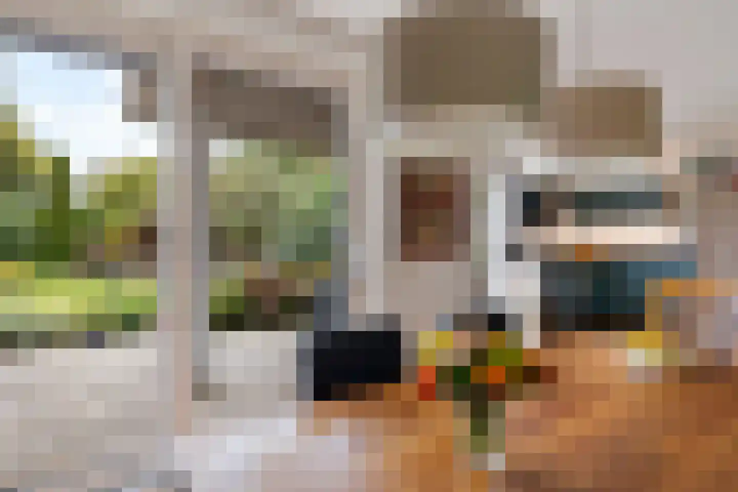 Boerhoorn 18 Oosterhesselen thumbnail 17