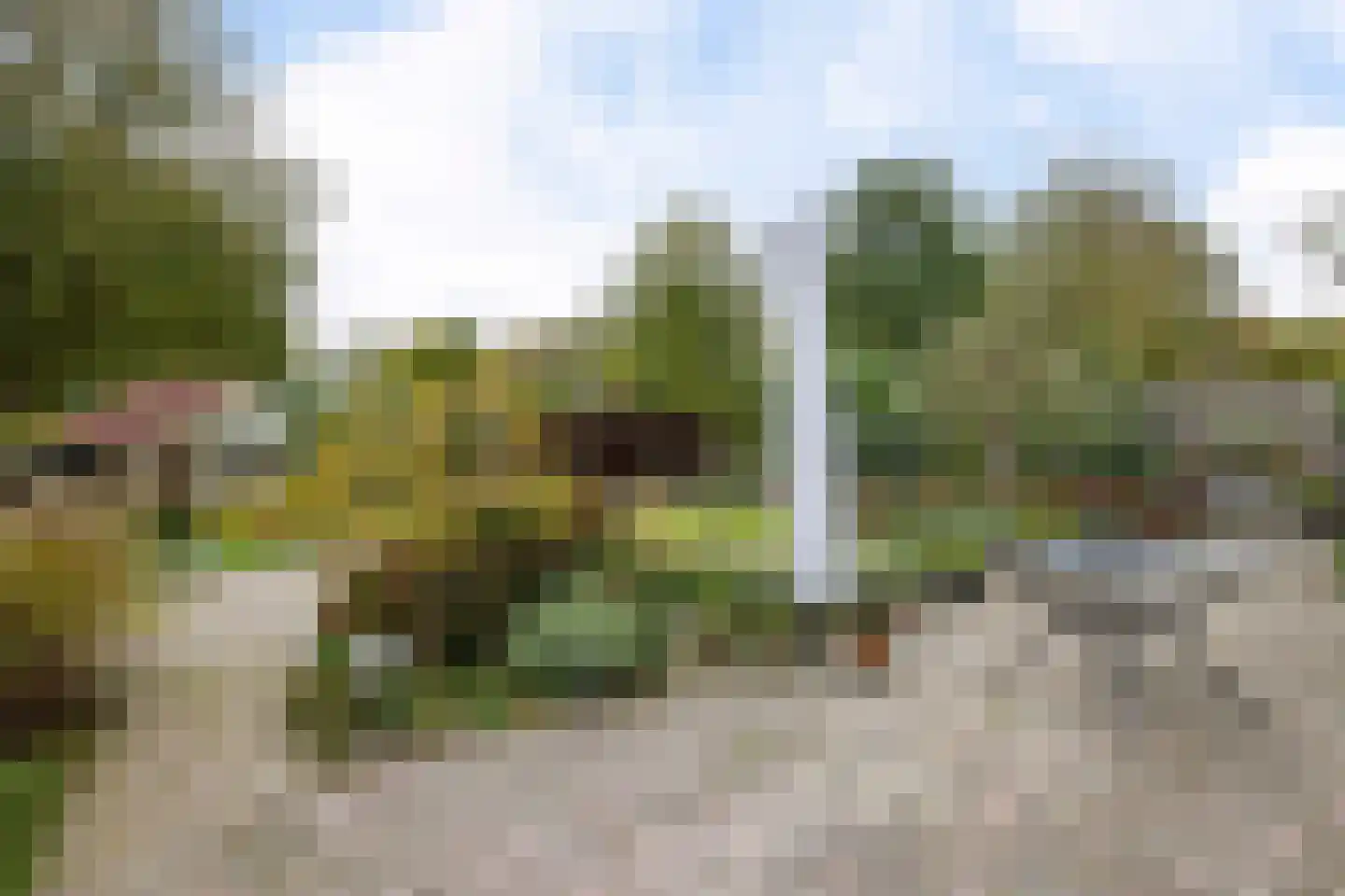 Boerhoorn 18 Oosterhesselen thumbnail 33