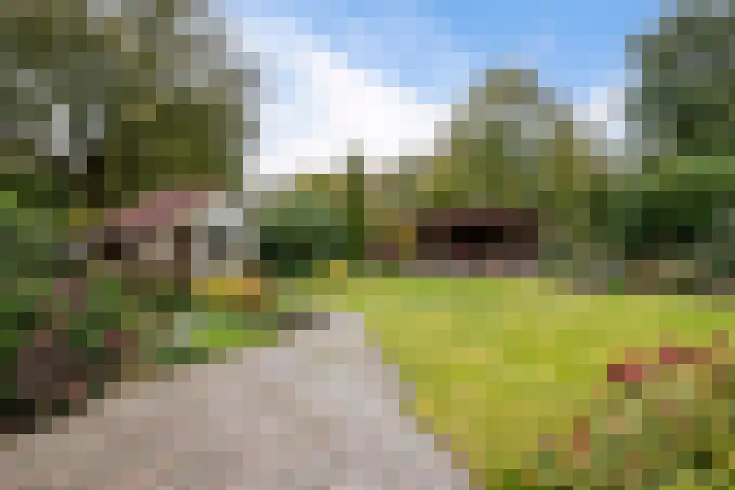 Boerhoorn 18 Oosterhesselen thumbnail 34
