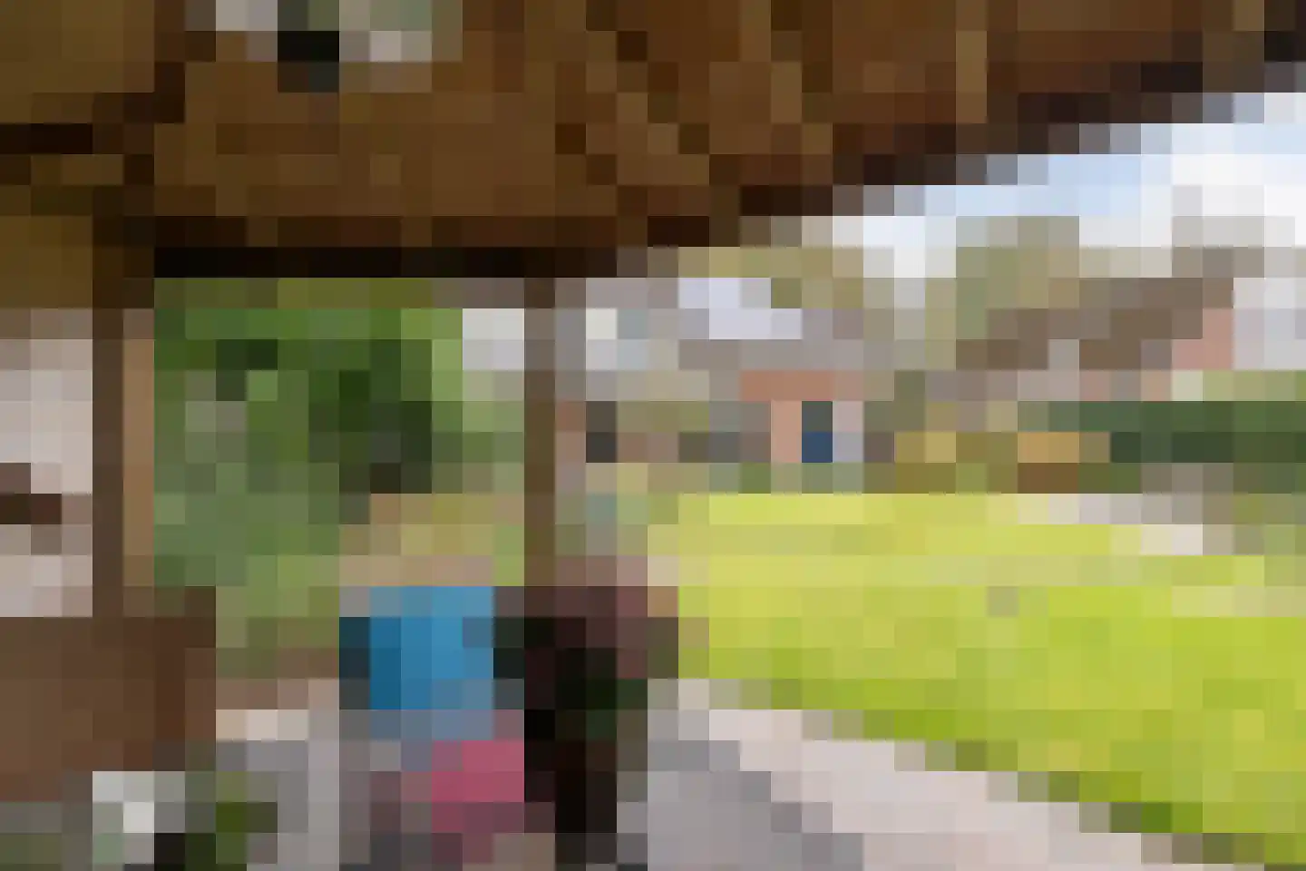 Boerhoorn 18 Oosterhesselen thumbnail 37
