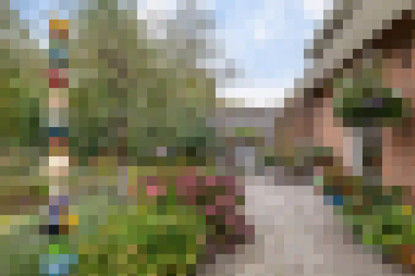 Boerhoorn 18 Oosterhesselen thumbnail 41