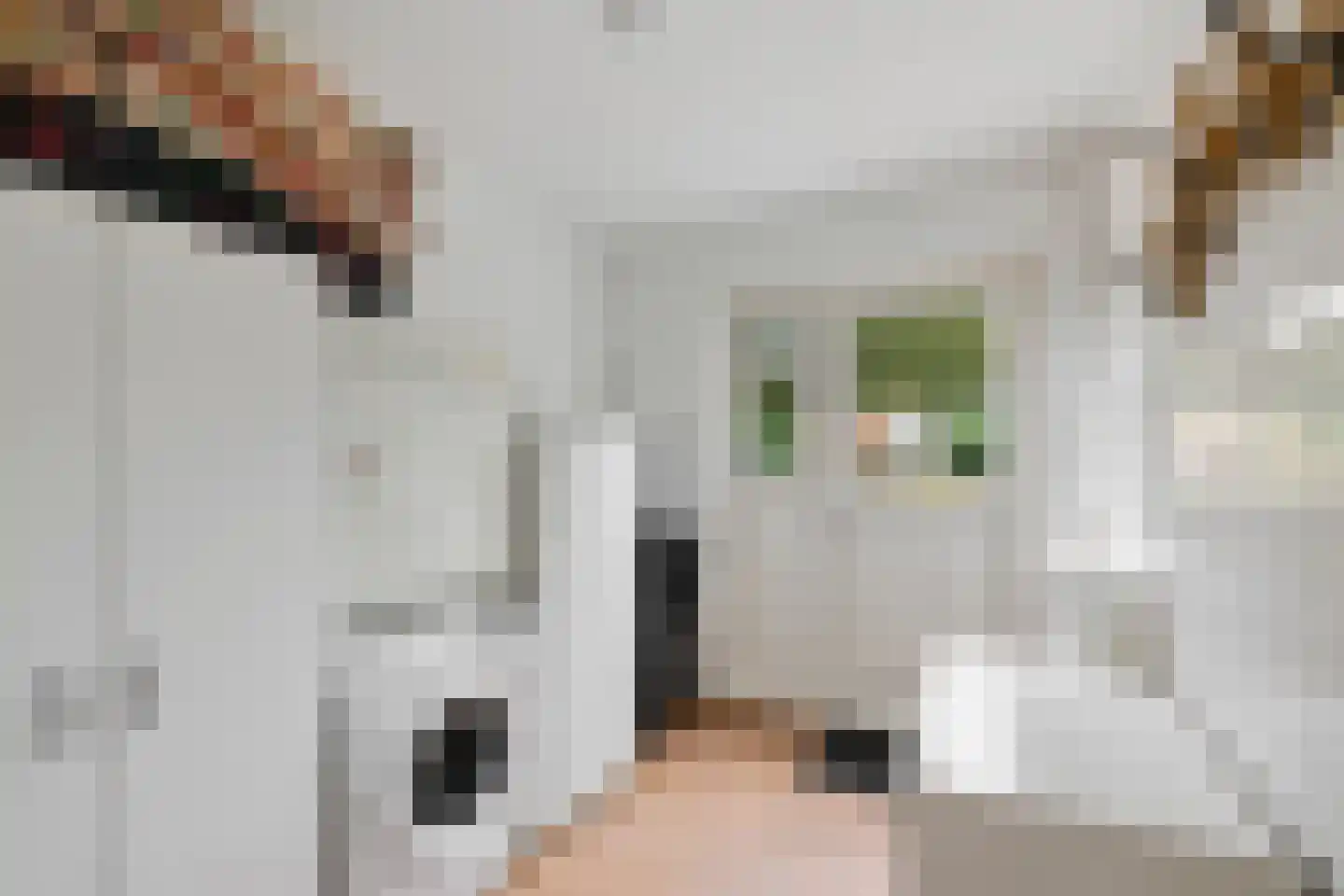 Boerhoorn 18 Oosterhesselen thumbnail 8