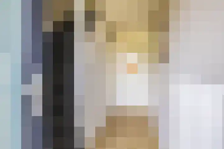Boerhoorn 2 Vries thumbnail 10