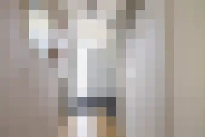 Boerhoorn 2 Vries thumbnail 11